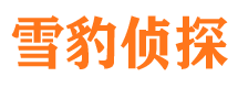 临桂寻人公司